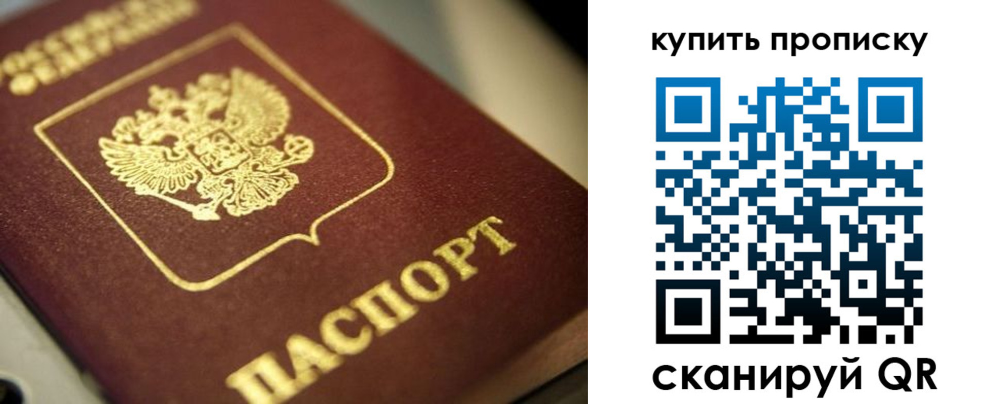 прописка поиск в Котельниково